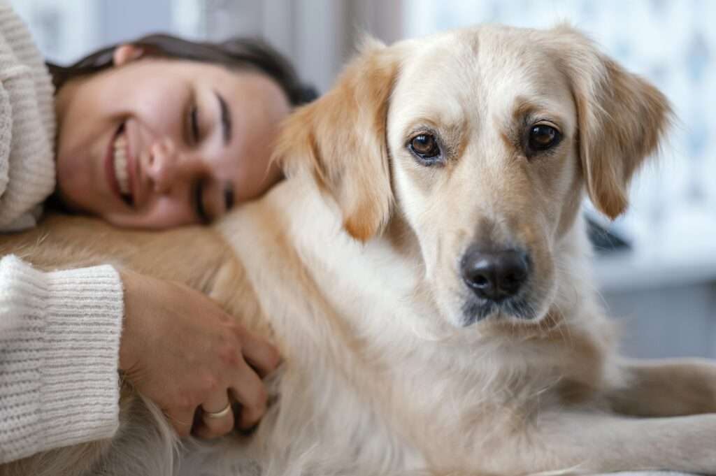 Benefits of Homemade Dog Food Recipes for Senior Dogs