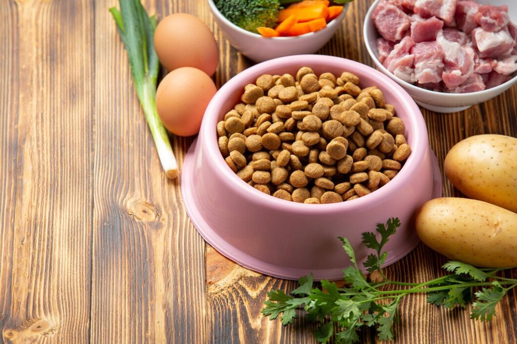 Homemade Dog Food Recipes vet approved for Weight Loss