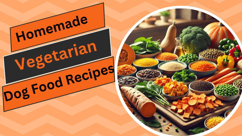 Homemade Vegetarian Dog Food Recipes