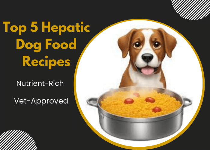 Homemade hepatic dog food best sale