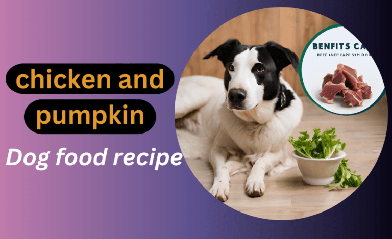 Homemade Chicken and Pumpkin Dog Food Recipe