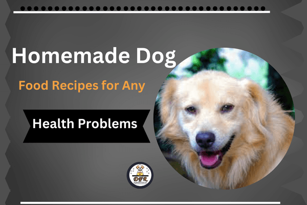 Homemade Dog Food Recipes for Any Health Problems