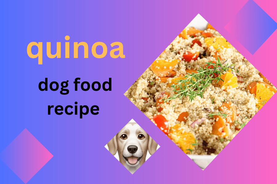 Homemade Quinoa Dog Food Recipe:Smart and Healthy