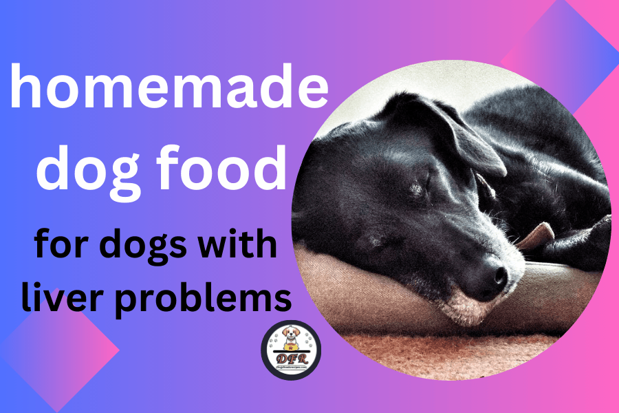 Best Homemade Dog Food with Liver Problems