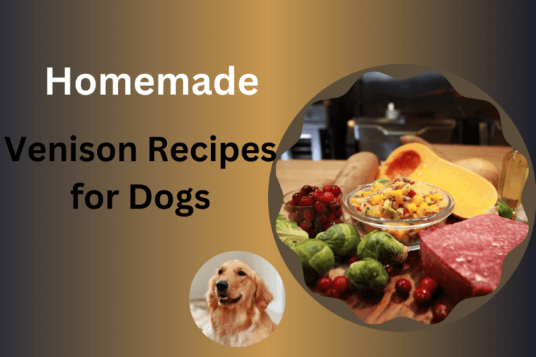 Venison Recipes for Dogs