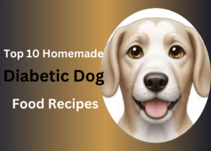 10 Homemade Diabetic Dog Food Recipes