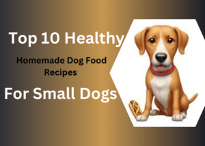 Top 10 Healthy Homemade Dog Food Recipes For Small Dogs