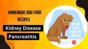 Homemade Dog Food Recipes for Pancreatitis and Kidney Disease