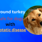 Ground Turkey Safe for Dogs with Hepatic Disease