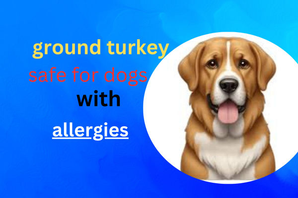 Is Ground Turkey Good for Dogs with Allergies?