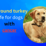 Is Ground Turkey Good for Dogs with Cancer?