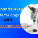 Is Ground Turkey Good for Dogs with Upset Stomachs