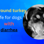 Is Ground Turkey Good for Dogs with Diarrhea?