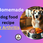 Homemade Dog Food Recipe for Arthritis