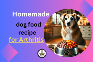 Homemade Dog Food Recipe for Arthritis