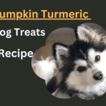 Pumpkin Turmeric Dog Treats Recipe