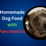 Homemade Dog Food for Dogs with Pancreatitis