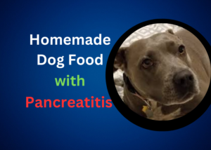 Homemade Dog Food for Dogs with Pancreatitis