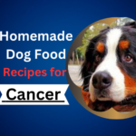 Homemade Dog Food Recipes for Cancer