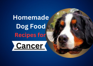 Homemade Dog Food Recipes for Cancer