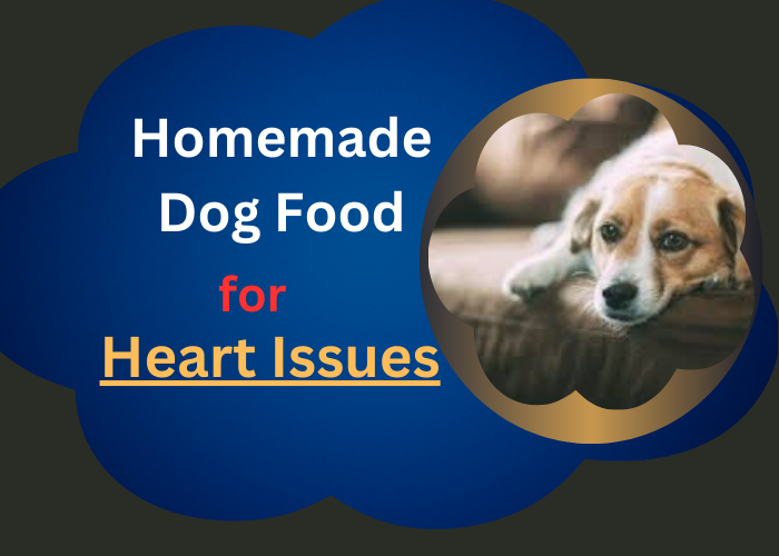 Homemade Dog Food for Dogs with Heart Issues