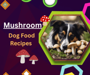 Mushroom Dog Food Recipes