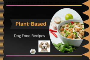 Plant-Based Dog Food Recipes