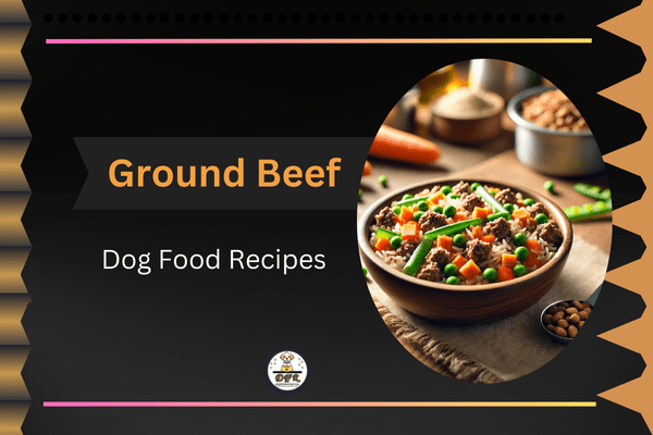 Ground Beef Dog Food Recipe