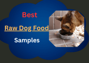 Raw Dog Food Samples