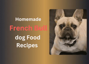 Homemade French Bulldog Food Recipes