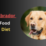 Labrador Food Diet