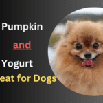 Pumpkin and Yogurt Treat for Dogs