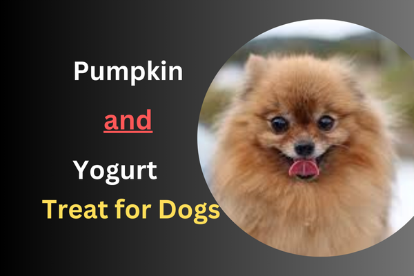 Pumpkin and Yogurt Treat for Dogs