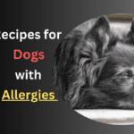 Recipes for Dogs with Allergies