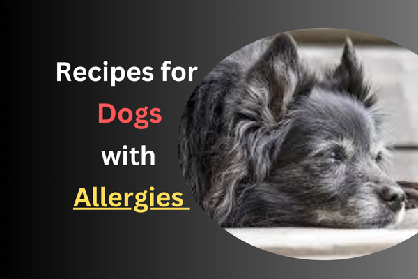 Recipes for Dogs with Allergies