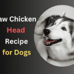 Raw Chicken Head Recipe for Dog