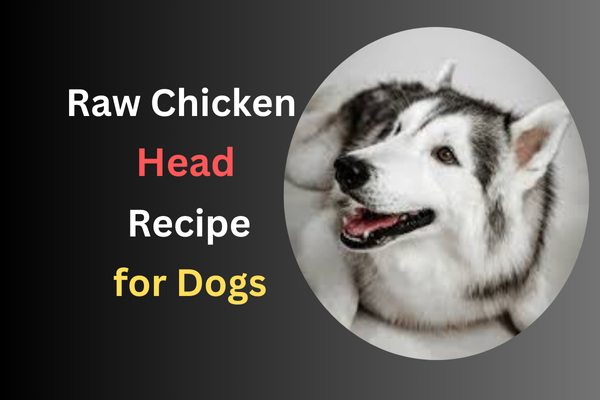 Raw Chicken Head Recipe for Dog