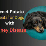 Sweet Potato Treats for Dogs with Kidney Disease