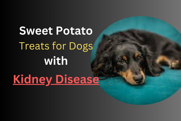 Sweet Potato Treats for Dogs with Kidney Disease