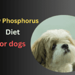 Low Phosphorus Diet for Dogs