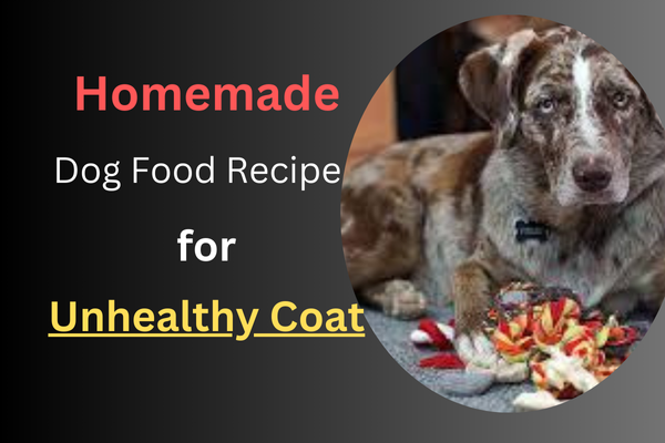 Homemade Dog Food Recipes for Unhealthy Coat