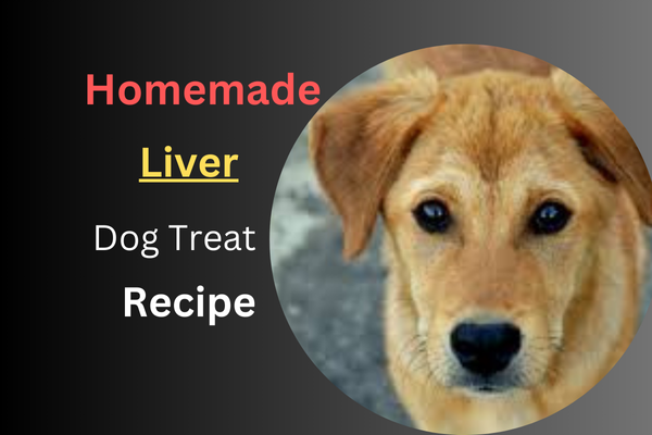 Homemade Liver Dog Treat Recipe