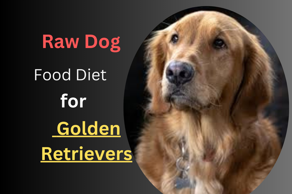 Raw Dog Food Diet for Golden Retrievers