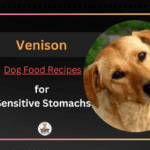 Venison Dog Food Recipe for Sensitive Stomachs