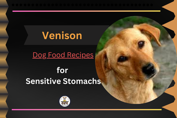 Venison Dog Food Recipe for Sensitive Stomachs