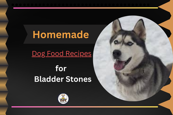 Homemade Dog Food Recipe for Bladder Stones