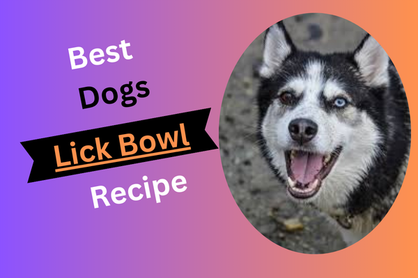 Dog Lick Bowl Recipe | Delicious DIY Treats for Dogs