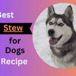 Stew for Dogs Recipe