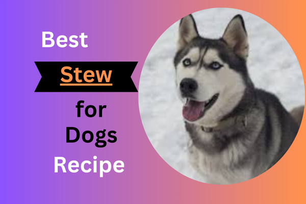 Stew for Dogs Recipe