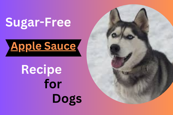 Sugar-Free Apple Sauce Recipe for Dogs